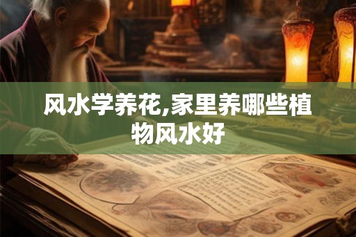 风水学养花,家里养哪些植物风水好