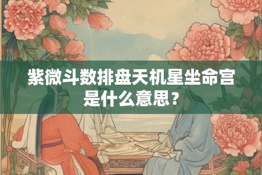 紫微斗数排盘天机星坐命宫是什么意思？