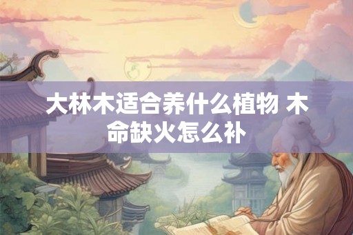 大林木适合养什么植物 木命缺火怎么补