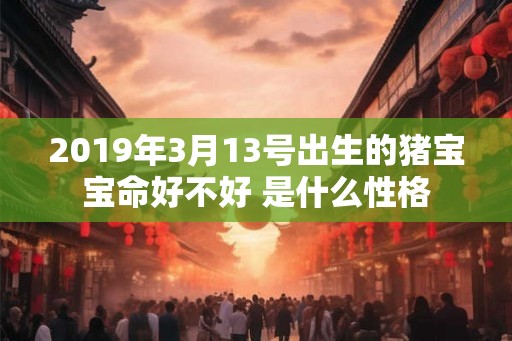 2019年3月13号出生的猪宝宝命好不好 是什么性格