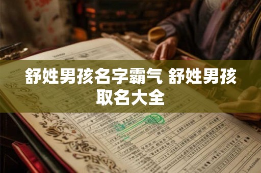 舒姓男孩名字霸气 舒姓男孩取名大全