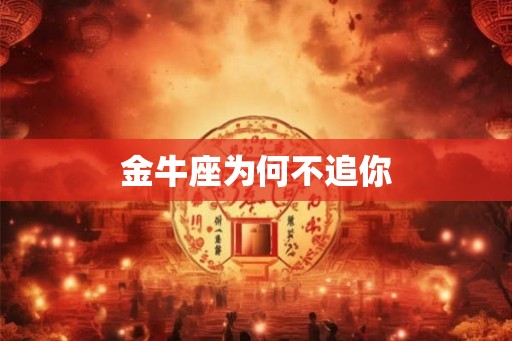 金牛座为何不追你