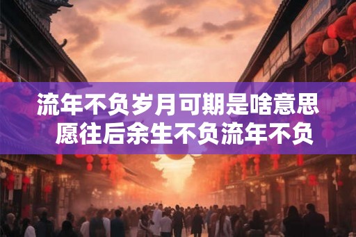 流年不负岁月可期是啥意思  愿往后余生不负流年不负自己