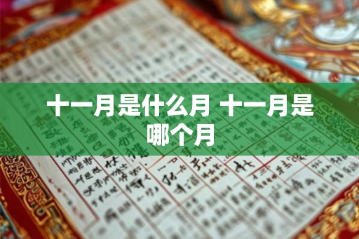 十一月是什么月 十一月是哪个月 十一月是什么月 十一月是哪个月
