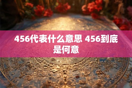 456代表什么意思 456到底是何意