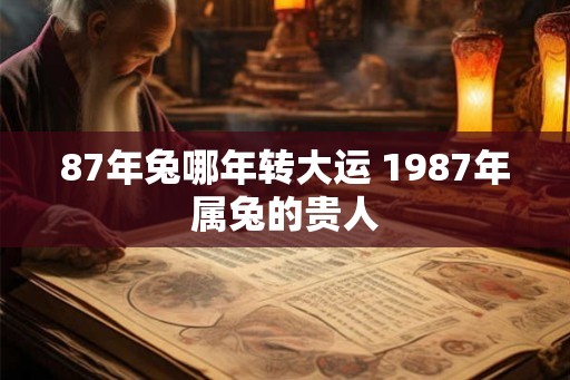87年兔哪年转大运 1987年属兔的贵人