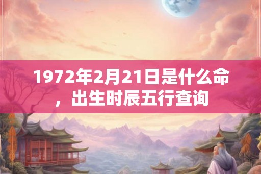 1972年2月21日是什么命,出生时辰五行查询 1972年2月21日是什么命,出生时辰五行查询