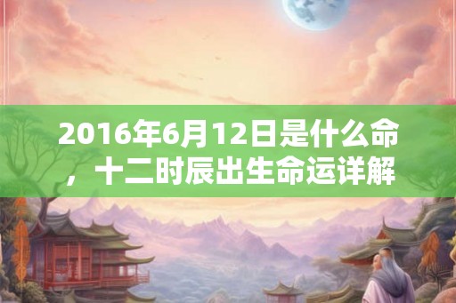 2016年6月12日是什么命，十二时辰出生命运详解