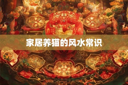 家居养猫的风水常识
