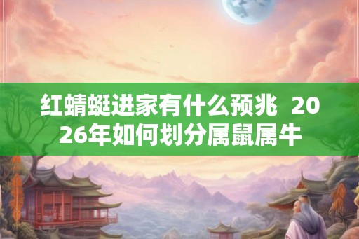 红蜻蜓进家有什么预兆  2026年如何划分属鼠属牛