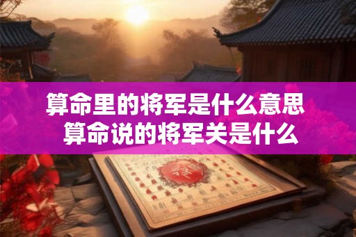 算命里的将军是什么意思  算命说的将军关是什么