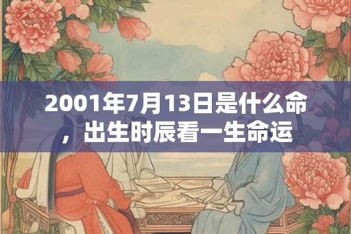2001年7月13日是什么命，出生时辰看一生命运