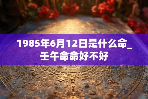 1985年6月12日是什么命_壬午命命好不好 1985年6月12日是什么命_壬午命命好不好