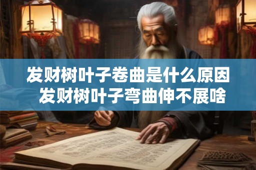 发财树叶子卷曲是什么原因  发财树叶子弯曲伸不展啥原因