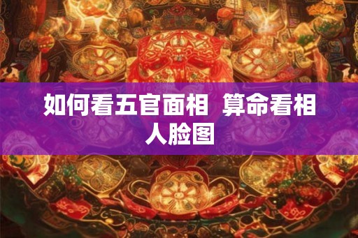 如何看五官面相  算命看相人脸图