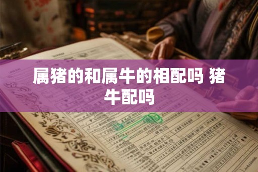 属猪的和属牛的相配吗 猪牛配吗