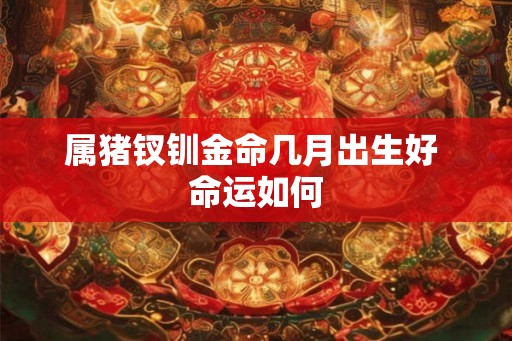 属猪钗钏金命几月出生好 命运如何