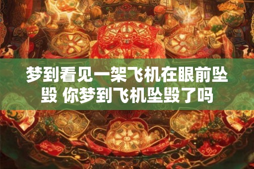 梦到看见一架飞机在眼前坠毁 你梦到飞机坠毁了吗