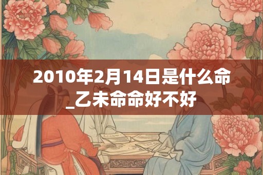 2010年2月14日是什么命_乙未命命好不好