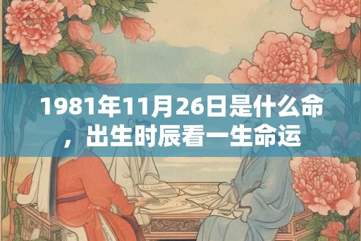 1981年11月26日是什么命，出生时辰看一生命运