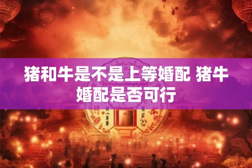猪和牛是不是上等婚配 猪牛婚配是否可行
