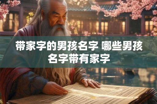 带家字的男孩名字 哪些男孩名字带有家字