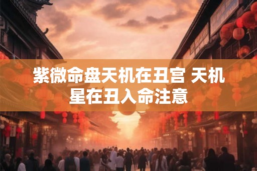 紫微命盘天机在丑宫 天机星在丑入命注意 紫微命盘天机在丑宫 天机星在丑入命注意