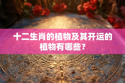十二生肖的植物及其开运的植物有哪些？