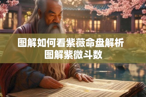 图解如何看紫薇命盘解析  图解紫微斗数