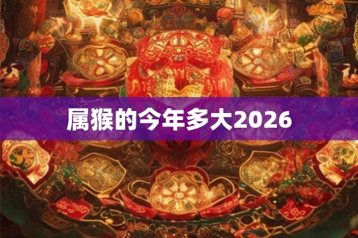 属猴的今年多大2026