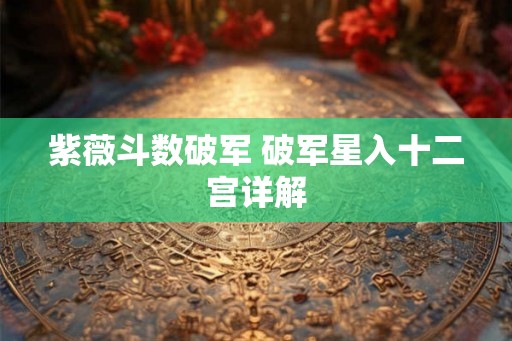 紫薇斗数破军 破军星入十二宫详解 紫薇斗数破军 破军星入十二宫详解
