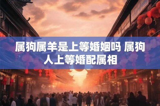 属狗属羊是上等婚姻吗 属狗人上等婚配属相