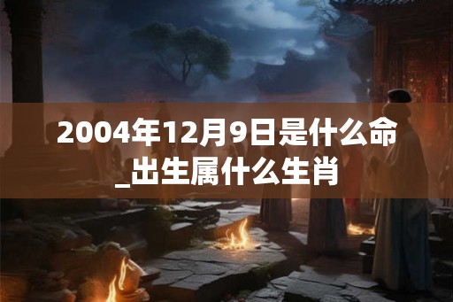 2004年12月9日是什么命_出生属什么生肖