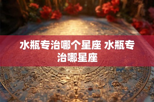 水瓶专治哪个星座 水瓶专治哪星座