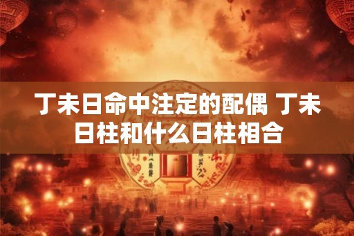 丁未日命中注定的配偶 丁未日柱和什么日柱相合