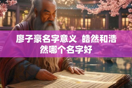 廖子豪名字意义  皓然和浩然哪个名字好