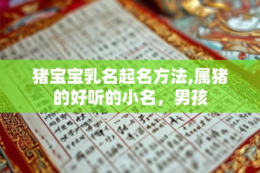 猪宝宝乳名起名方法,属猪的好听的小名,男孩 猪宝宝乳名起名方法,属猪的好听的小名,男孩
