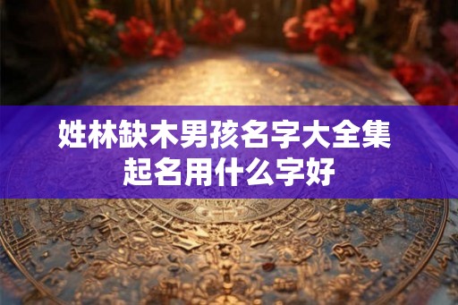 姓林缺木男孩名字大全集 起名用什么字好