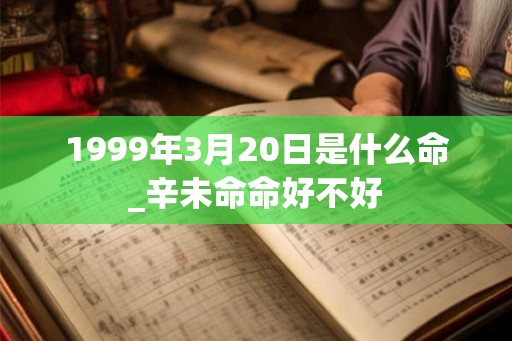 1999年3月20日是什么命_辛未命命好不好
