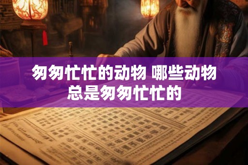 匆匆忙忙的动物 哪些动物总是匆匆忙忙的