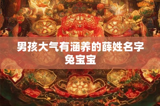 男孩大气有涵养的薛姓名字兔宝宝 男孩大气有涵养的薛姓名字兔宝宝