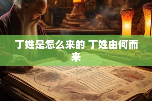丁姓是怎么来的 丁姓由何而来