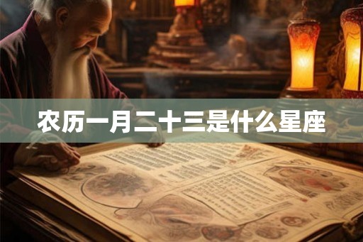 农历一月二十三是什么星座