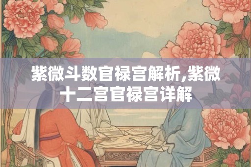 紫微斗数官禄宫解析,紫微十二宫官禄宫详解
