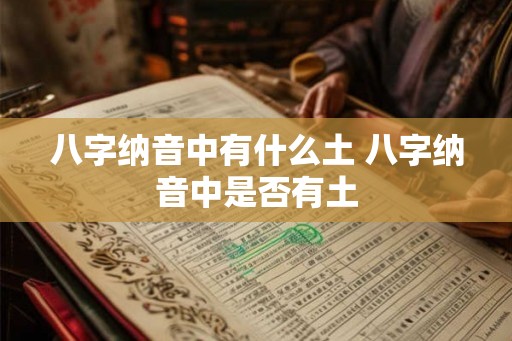 八字纳音中有什么土 八字纳音中是否有土