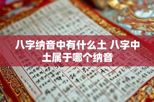 八字纳音中有什么土 八字中土属于哪个纳音