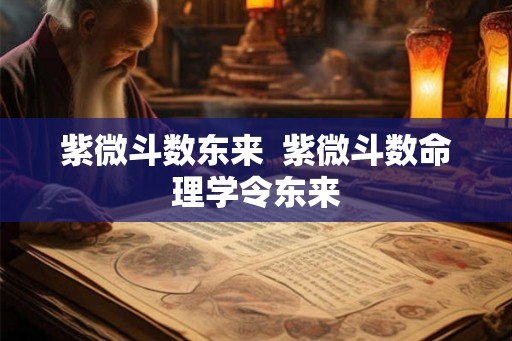 紫微斗数东来  紫微斗数命理学令东来