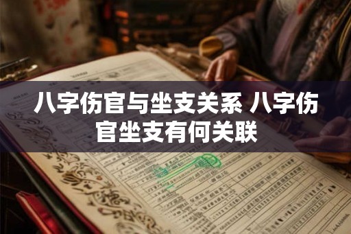 八字伤官与坐支关系 八字伤官坐支有何关联