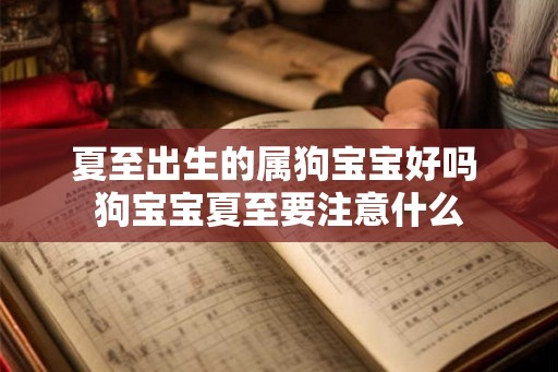 夏至出生的属狗宝宝好吗 狗宝宝夏至要注意什么 夏至出生的属狗宝宝好吗 狗宝宝夏至要注意什么