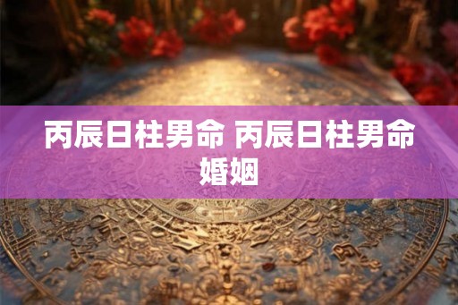 丙辰日柱男命 丙辰日柱男命婚姻 丙辰日柱男命 丙辰日柱男命婚姻